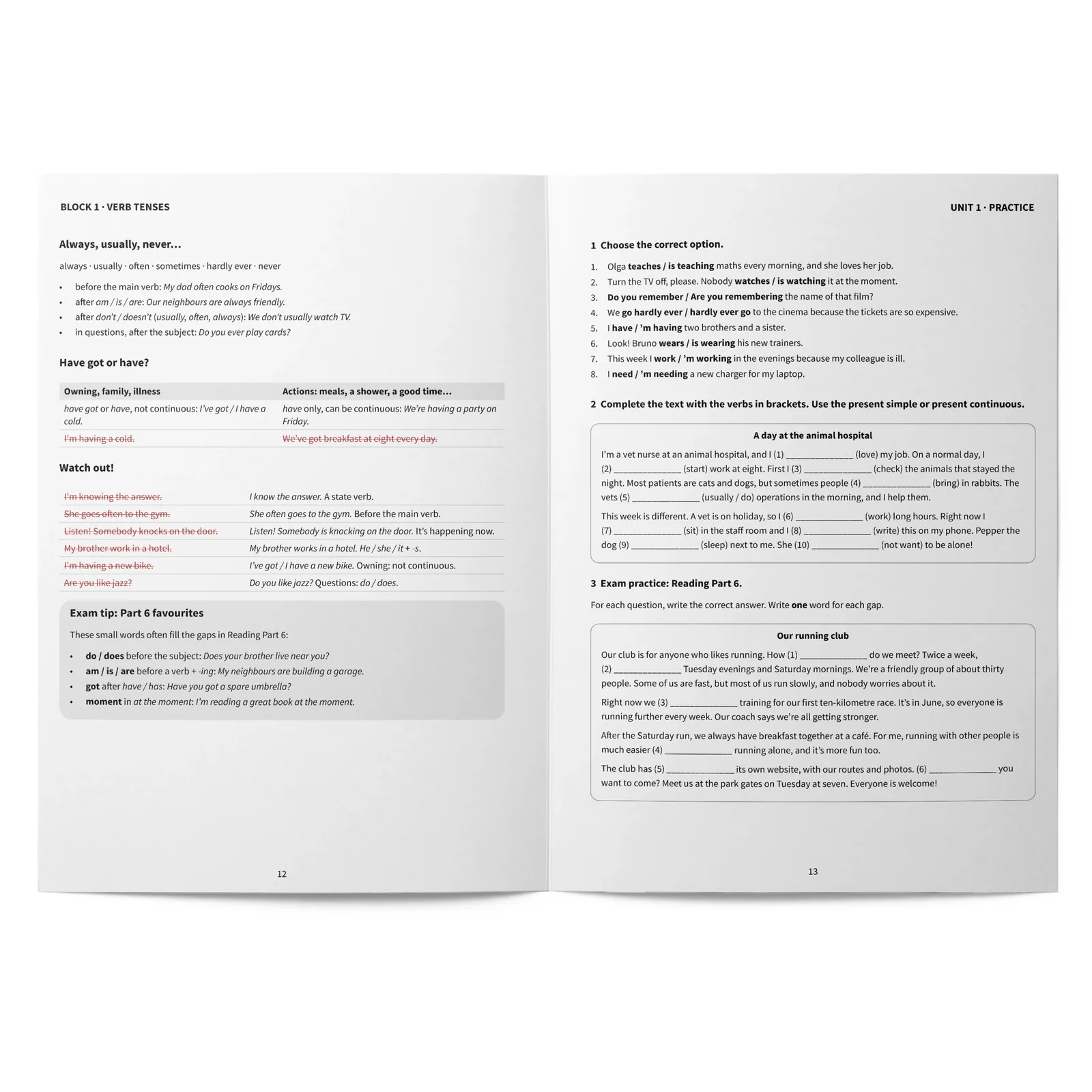 Grammar for B1: The Complete B1 Grammar Guide – Rules, Practice and Exam Tasks: páginas interiores (2)